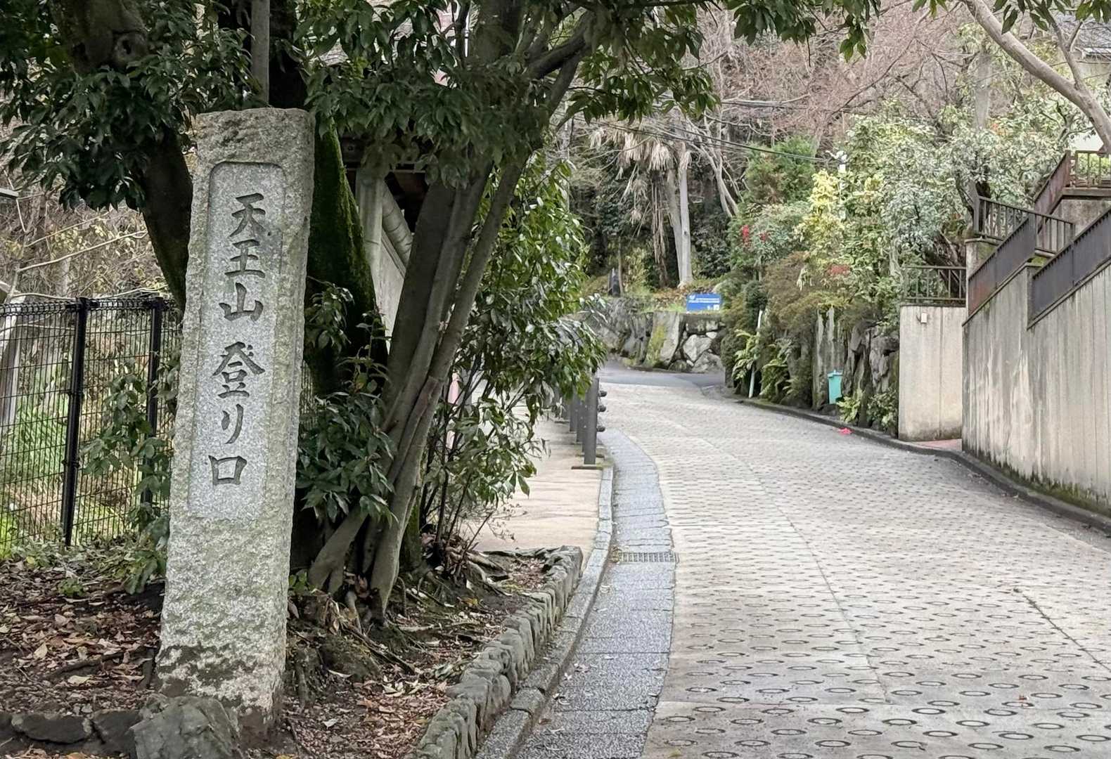 
　　　　　今日は春を告げるミツマタに
　　　　　逢いたくて天王山へきました♪
