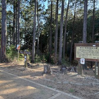 高尾山の山頂直下まで下りが多く、左足首が再び痛み出す。一丁平で休憩。この後、高尾山まで何度もエアーサロンパス休憩。