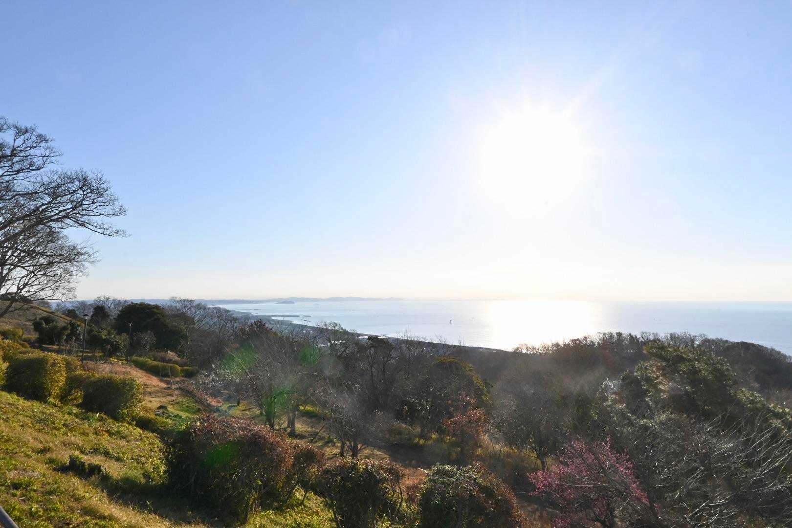 風もなく、朝の太陽も力強く感じられる。
こちら江ノ島方面。