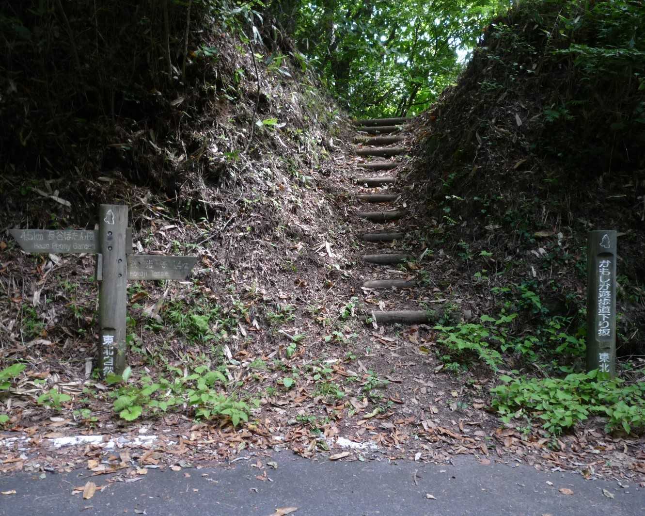 あ〜、５合目駐車場に着く前に、登山道に戻れました。　