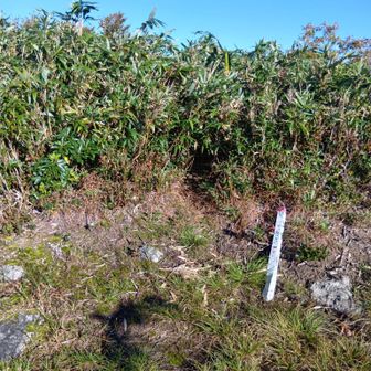 コロンブスピーク。なぜコロンブス？かと思っていたら、どうも標高の1492がコロンブスが大西洋横断を果たした年らしい。洒落てますな。