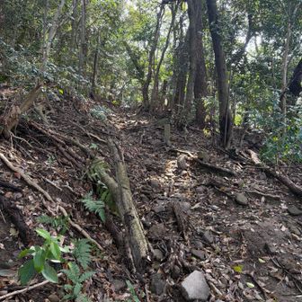 さて登りますか⛰️