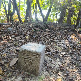 四ノ谷山　三角点名「滝畑」
三等三角点