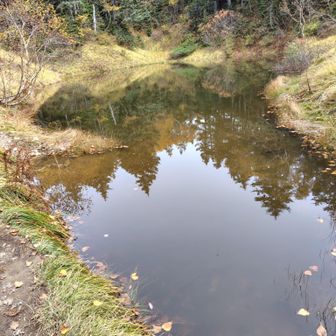 妖精の池🧚‍♂️
あともう少し