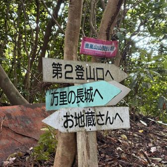 分かりやすい😊
