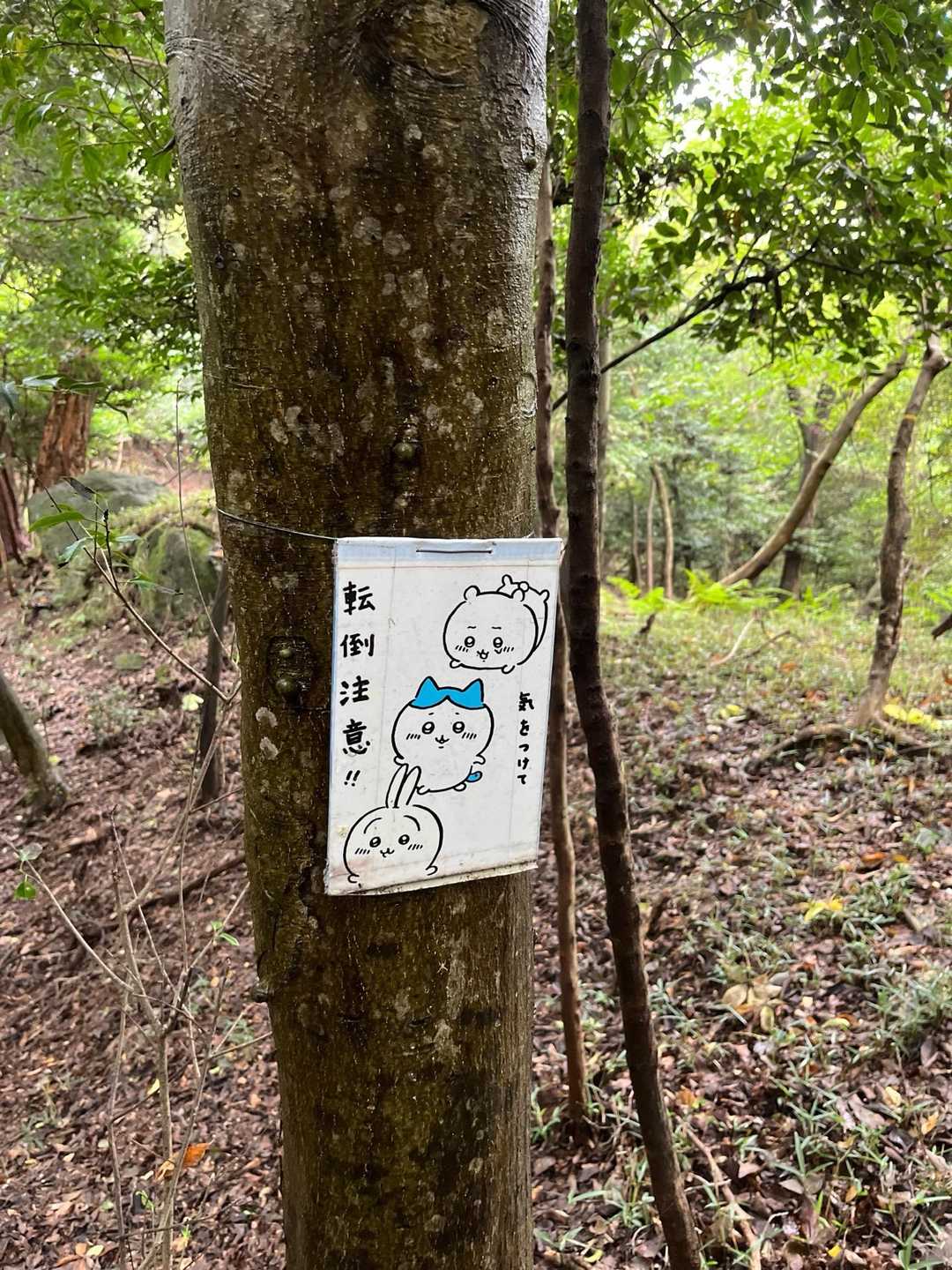 ピンクテープがたくさんで歩きやすいです