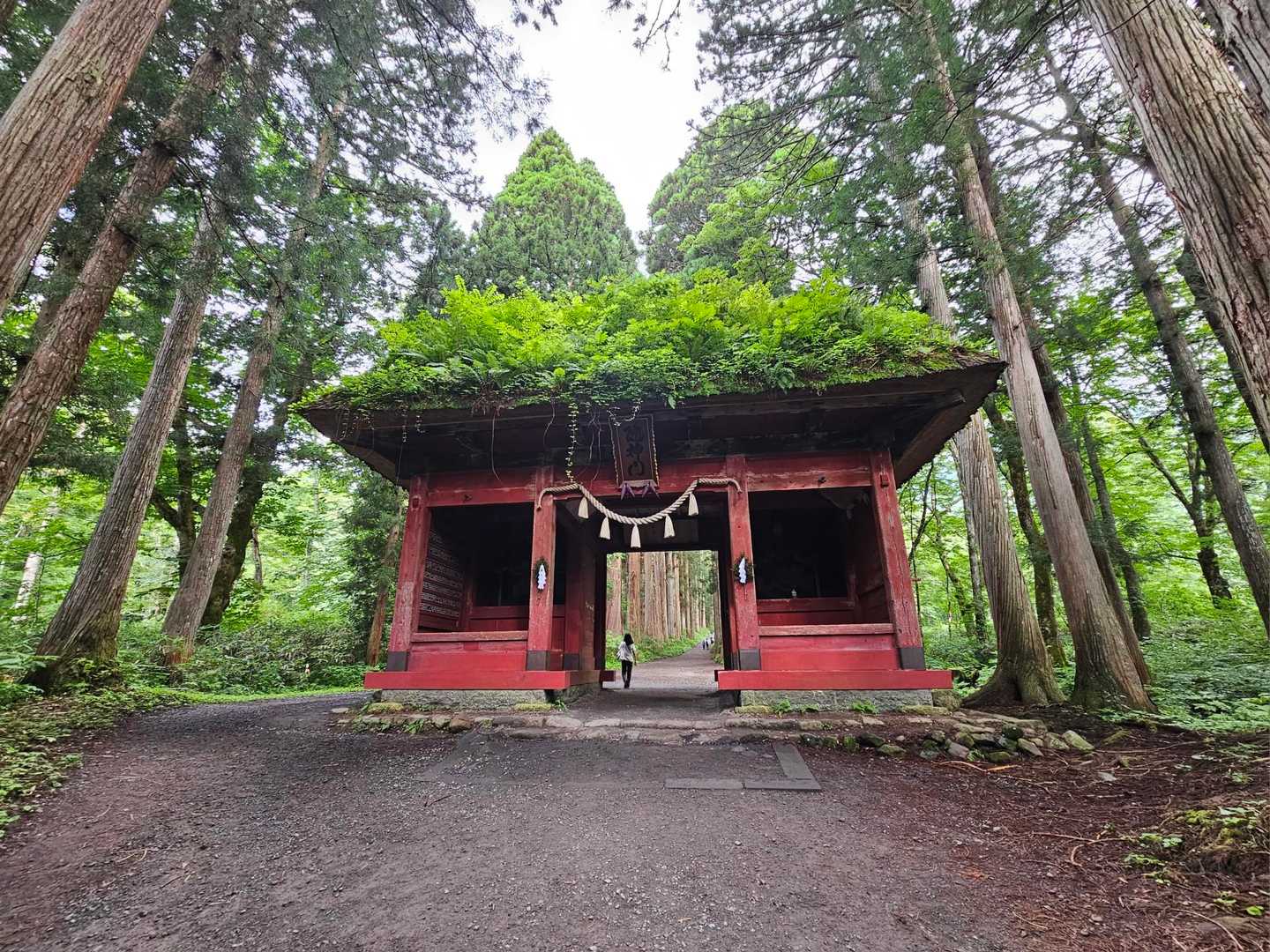 戸隠山周回 | そそり立つナイフリッジ。修験のココロが試されるスリリングな岩峰の写真