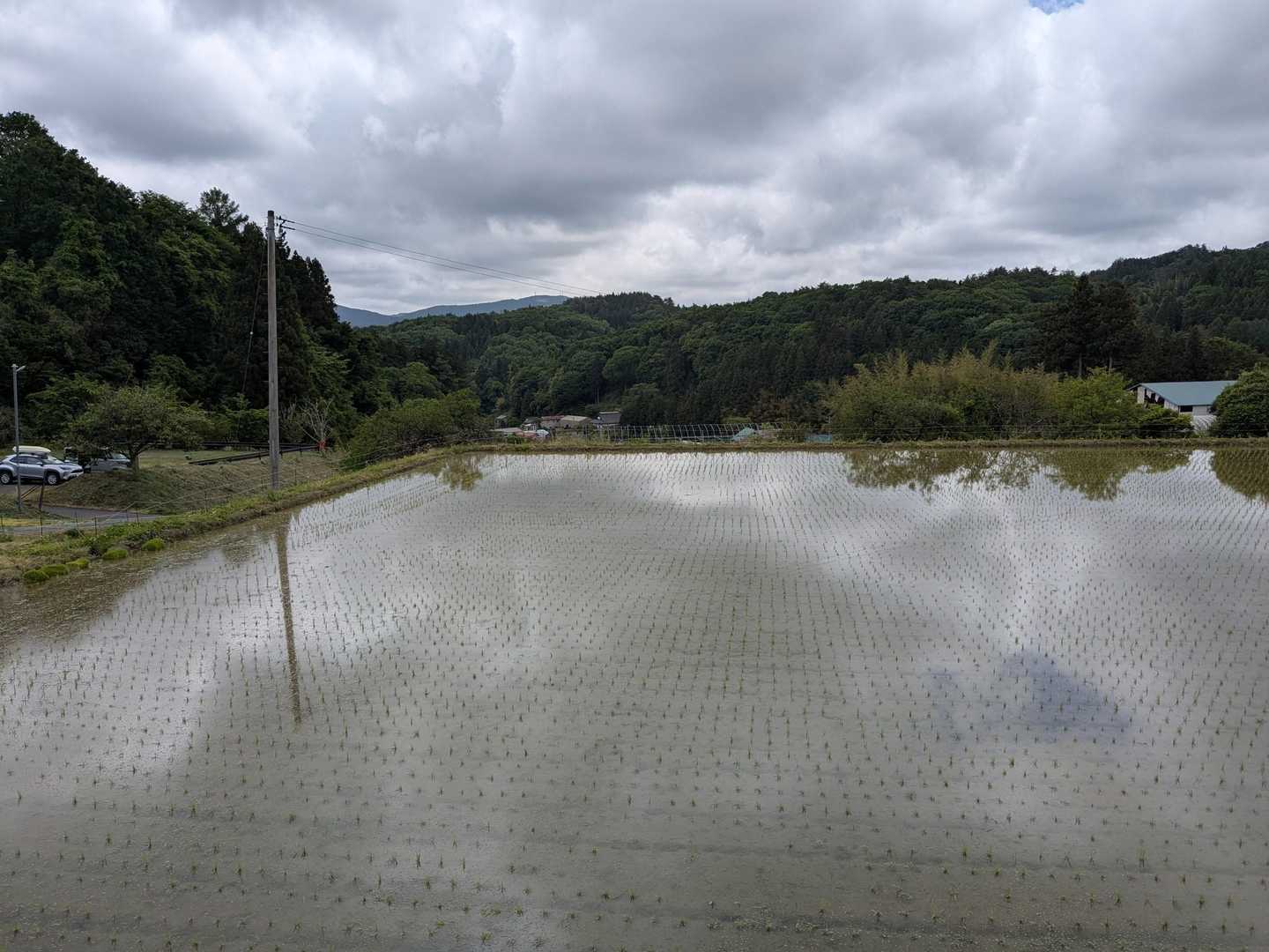 駐車場前の田んぼ、田植えをしたばかり