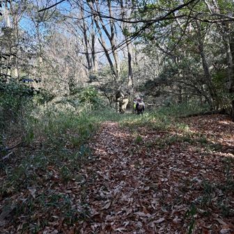 うっかり地元ハイカーに付いて行ってしまったけど、このルートはNGです⛔️