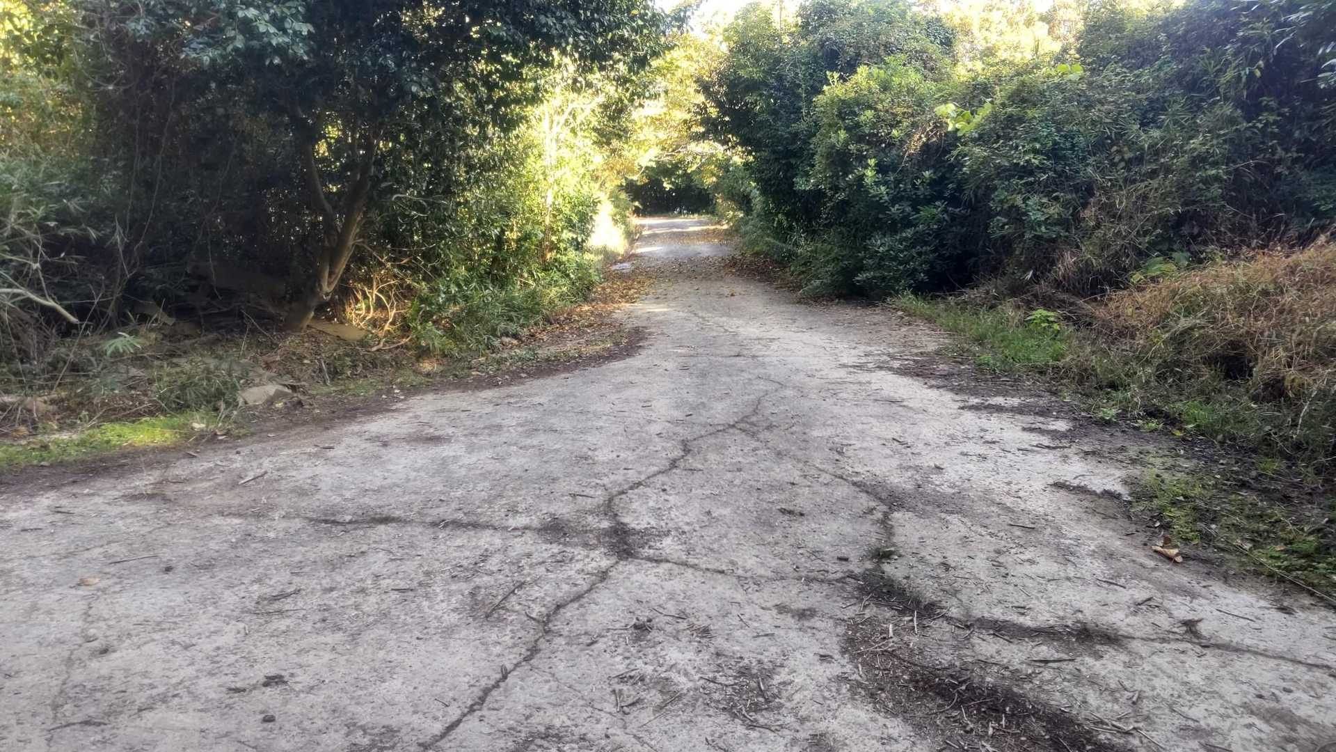 なので再びルートを戻り続きをトコトコ👣
この先の道は結構落石あるので自動車自転車はちょっと微妙かも(´・ω・`)？