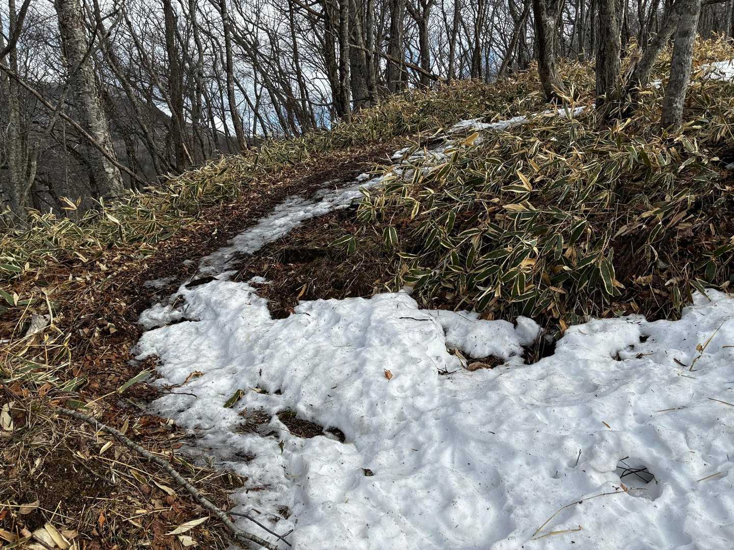 もう春☘️