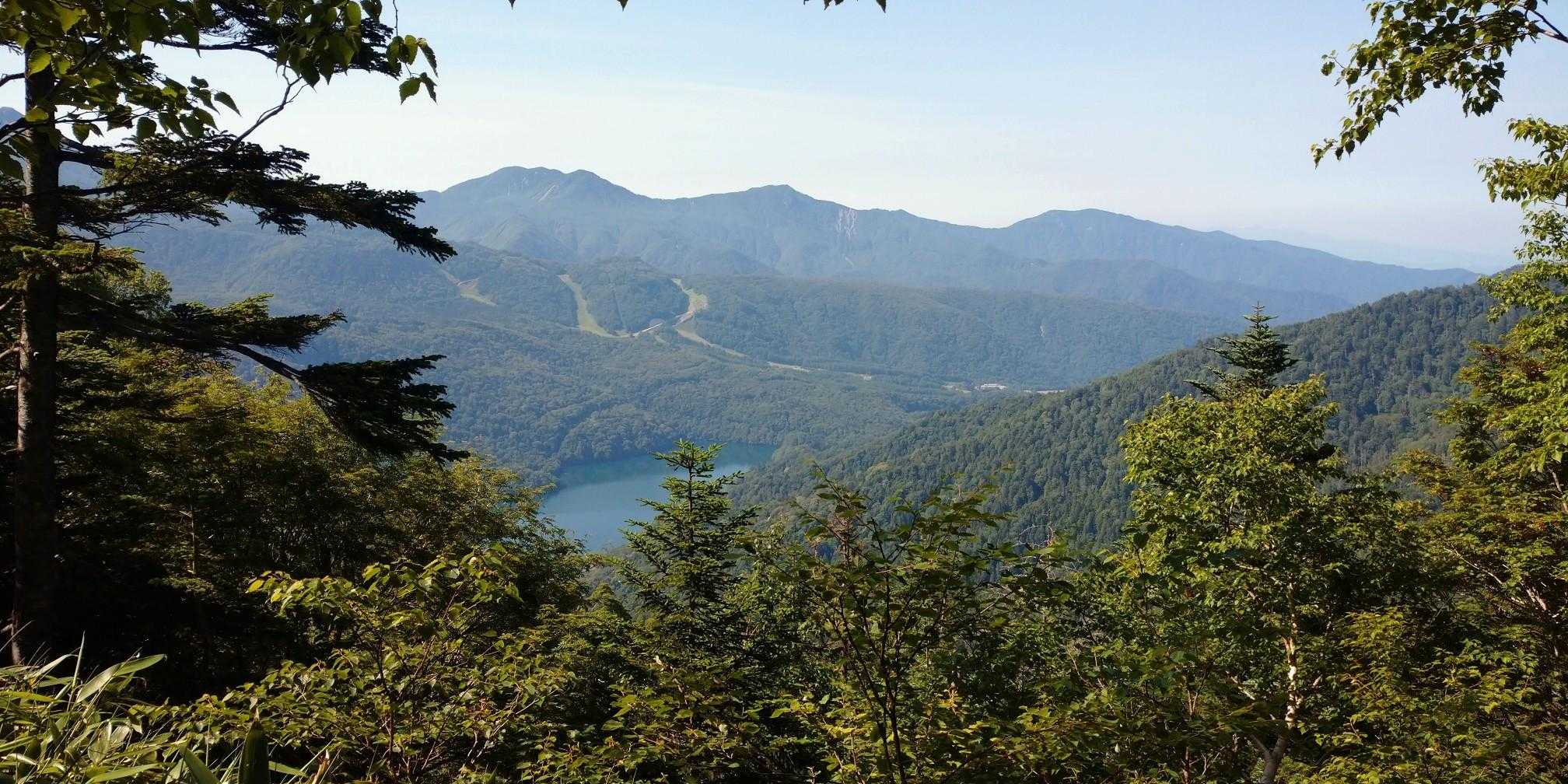 燕巣山 往復コースの写真