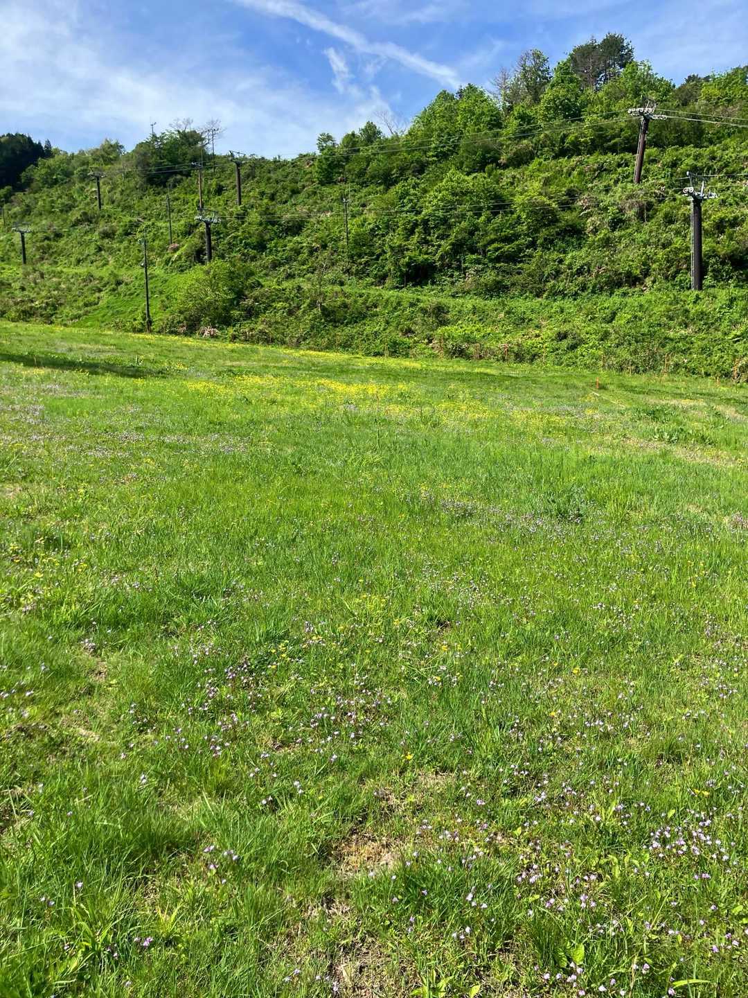 ええ天気☀️