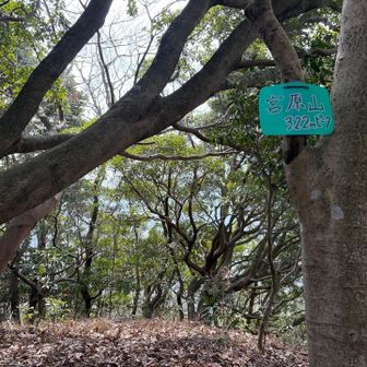 今回最後のお山「宮原山」です。
ここから下山します。