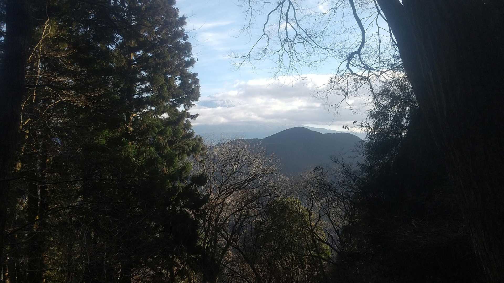 富士山展望地。今週は雲多めですね