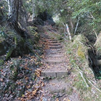 破線ルートですが階段で整備されていて登りやすかったです。この階段を登り切ると大福山の車道に出ます。