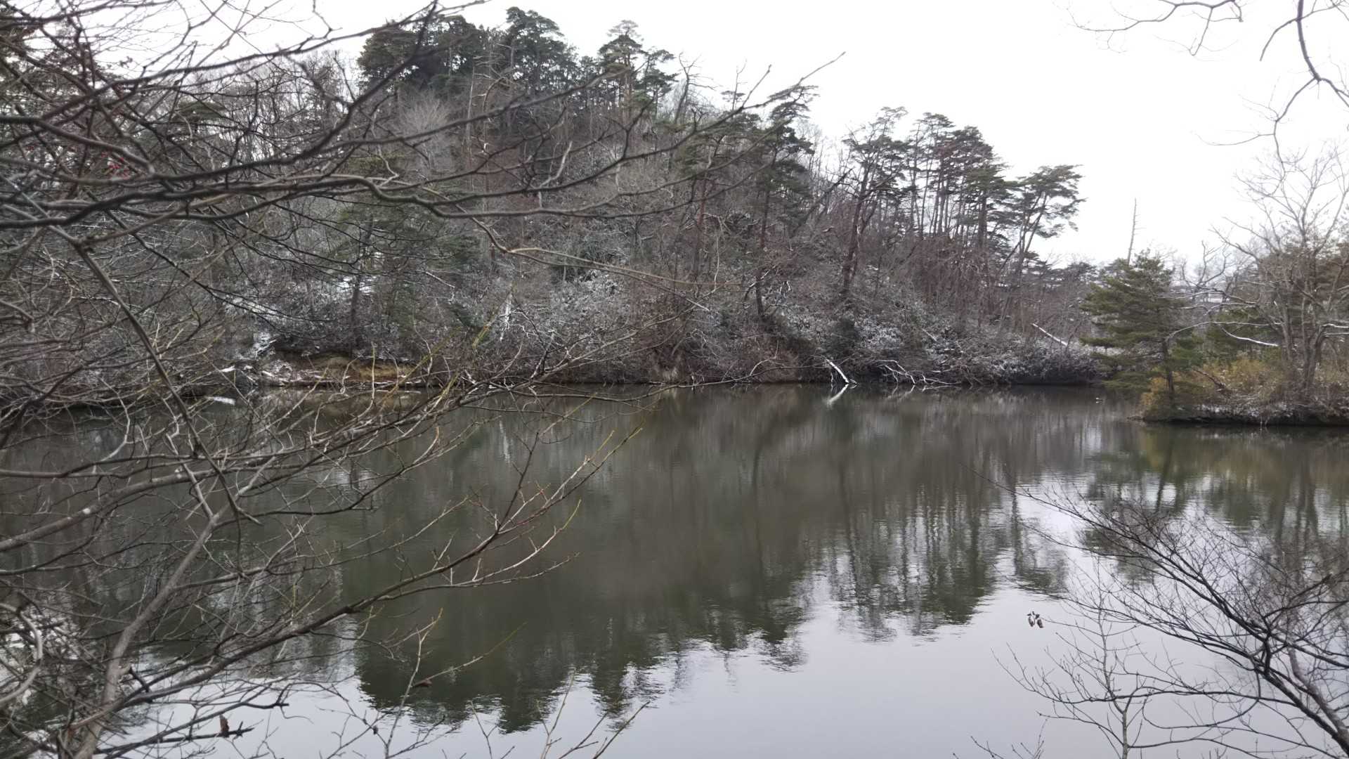 こんなに水辺ギリギリポイントも👀