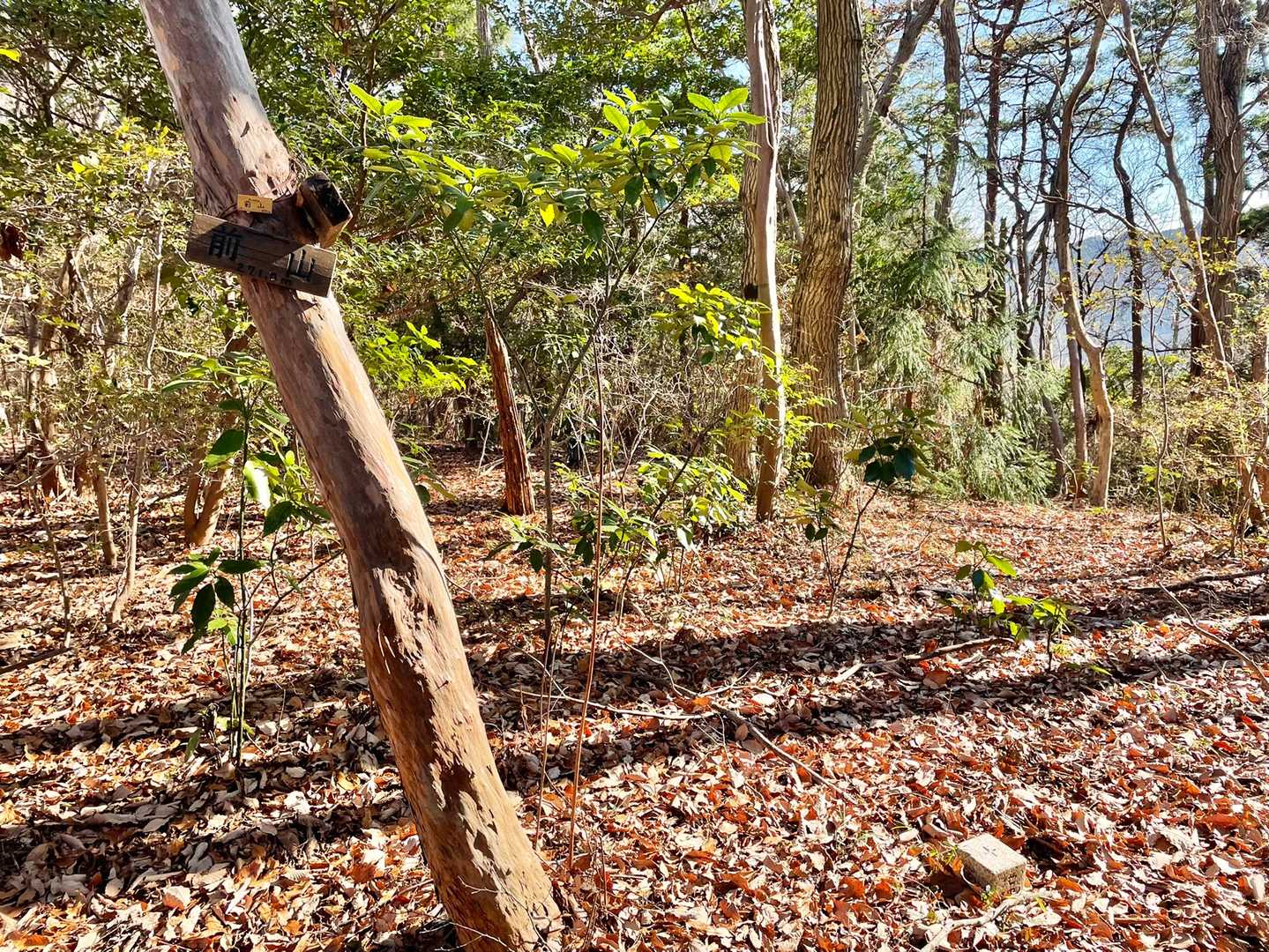 少し迷いましたが、前山山頂に到着！
尾根道で行くより、巻道側から登った方が早いですね😉