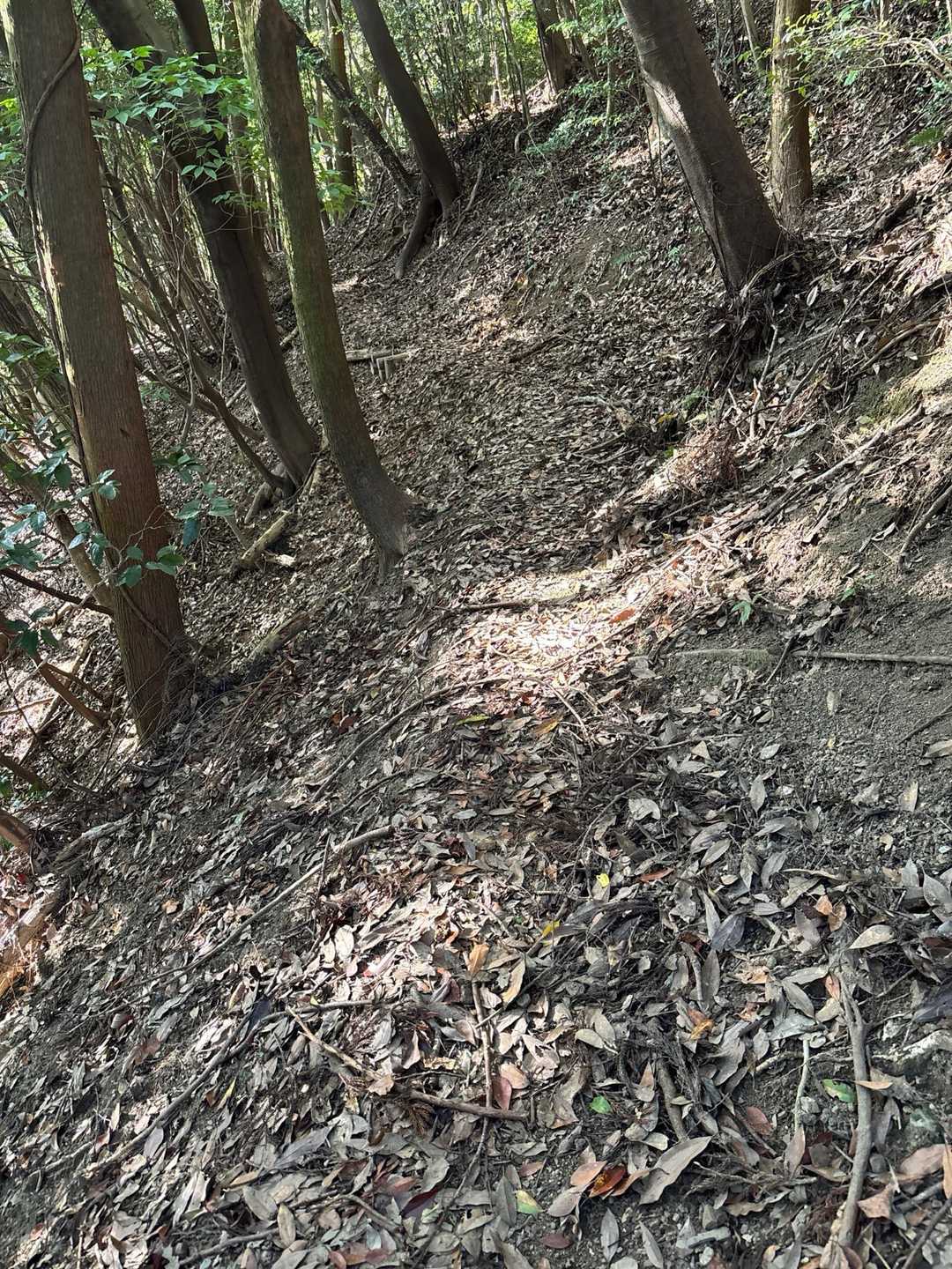 急な斜面のトラバース道では、山側は埋まり、崖側は削られ、多くの場所で歩きにくくなってる。