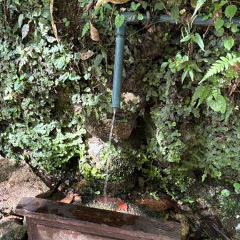沢からの水を毎日汲みに来られる方がいらっしゃる様です〜。
自己責任で飲めるとの事‼️