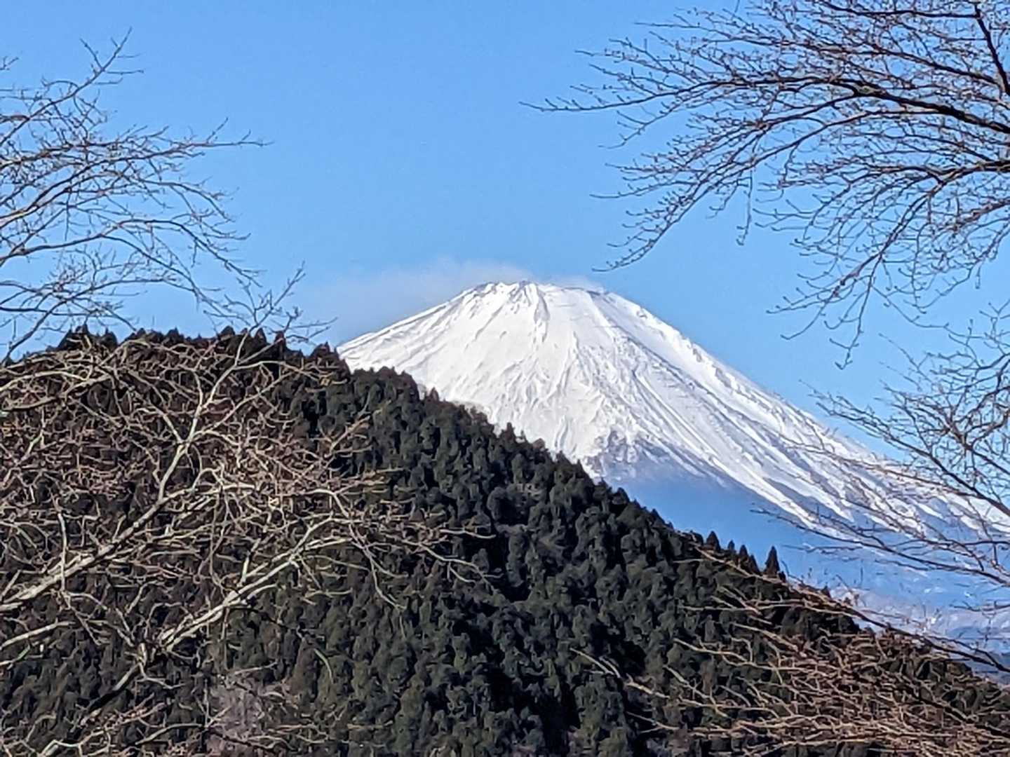 田代向バス停-タケ山-ダルマ沢ノ頭-シダンゴ山-寄バス停 縦走コースの写真