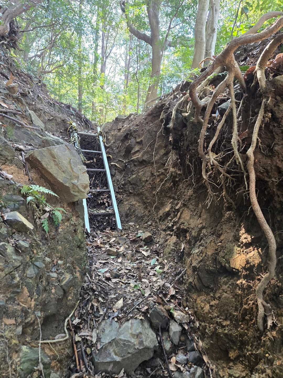 妙見山登山口-足立山 往復コースの写真