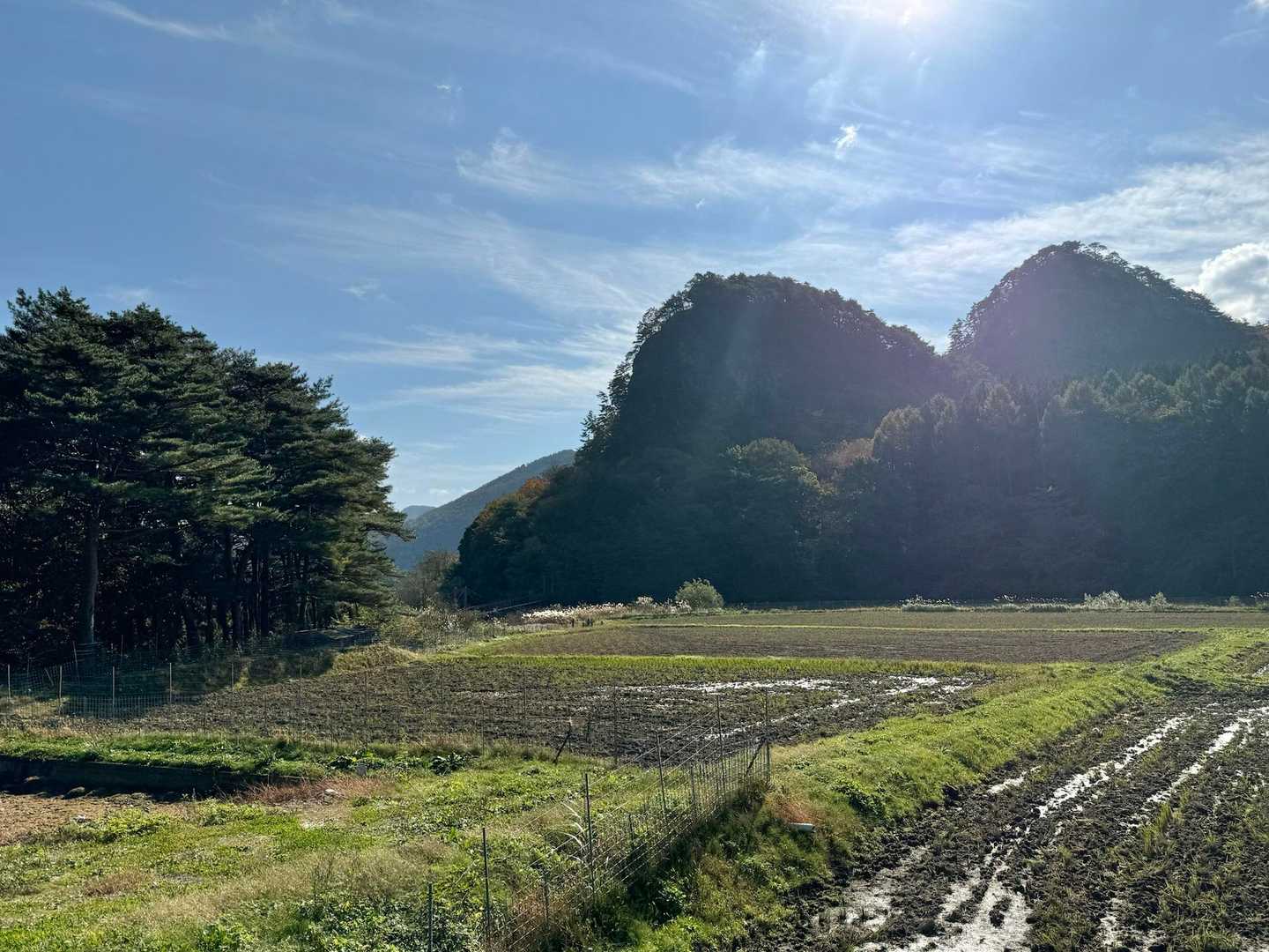登山口の駐車場間違えてたみたい💦
なので こちらをお邪魔します。