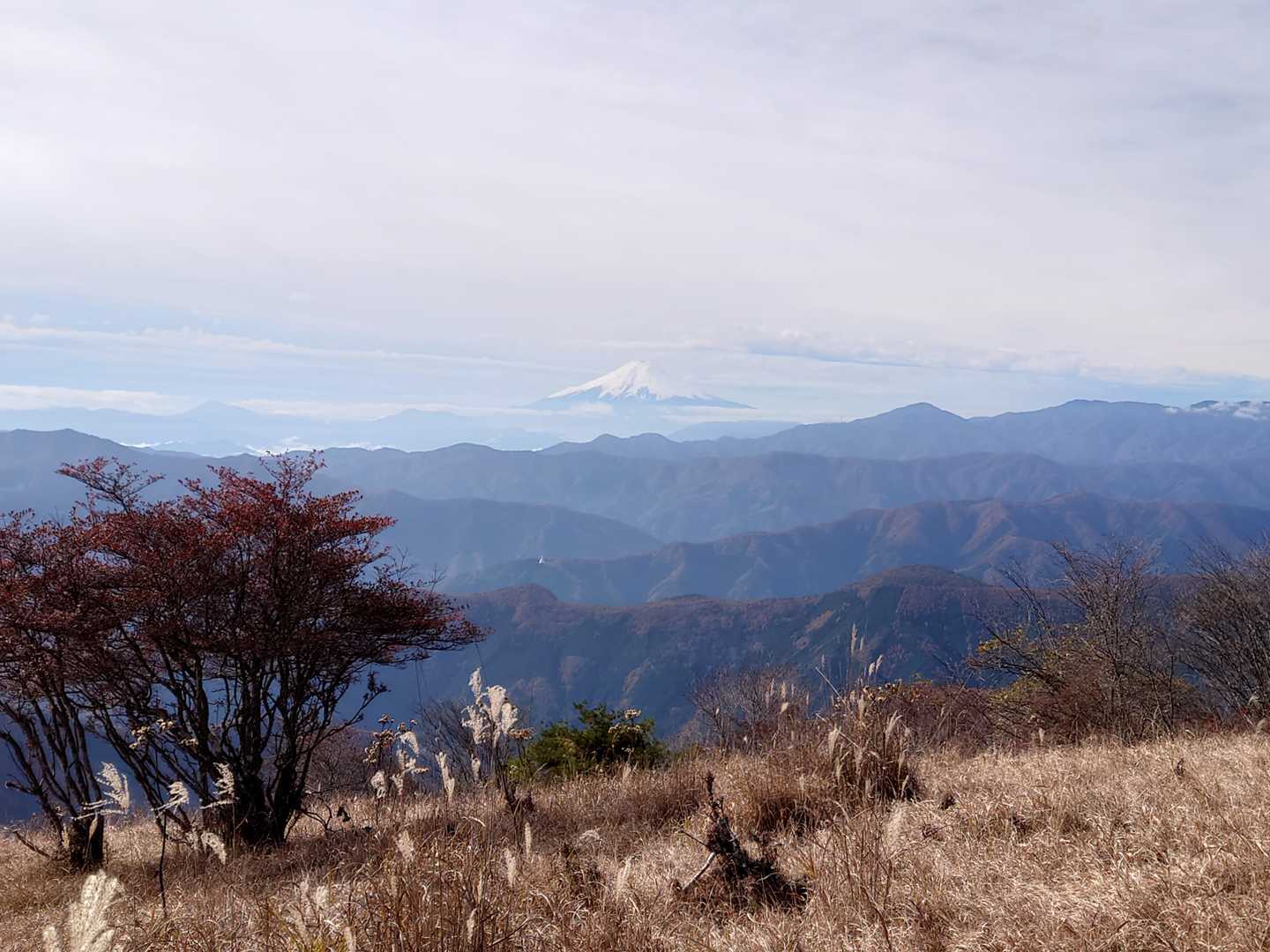 頂上からの富士山