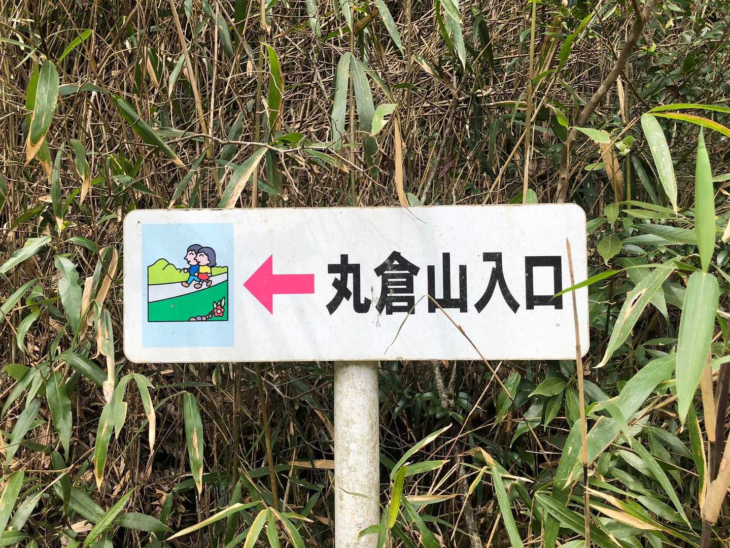 案内に従って登ります。