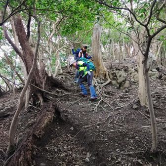 👩「二度目は無いわ～」
👩‍🦲「年下のイケメンに案内頼まれたら？」

それだったら来るかもしれない
つまりそんな道です