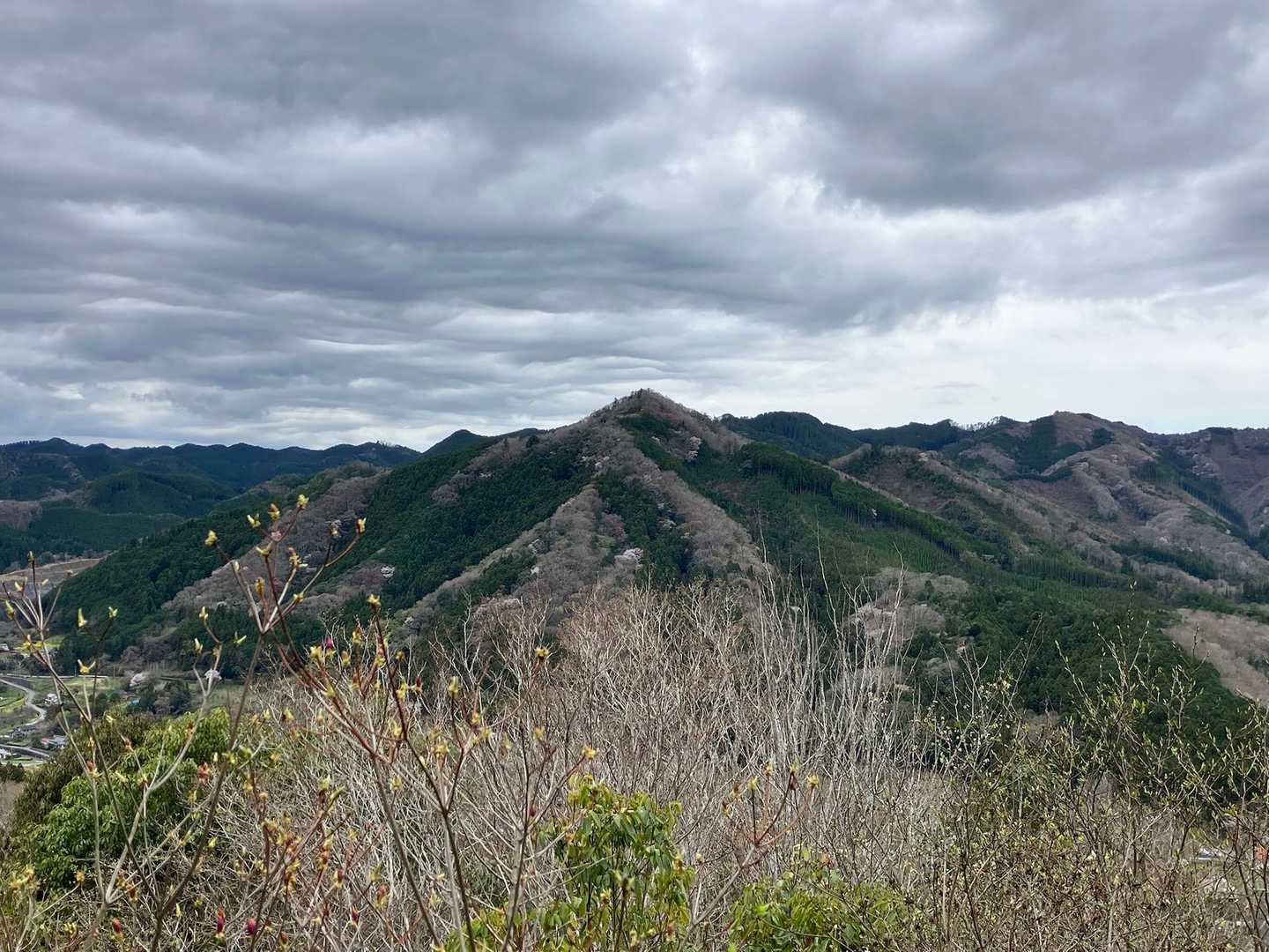 先ほど登った盛金富士⛰️
