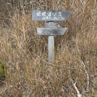 まずは砥峰山頂目指します。