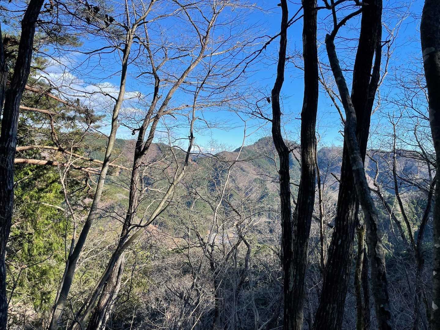 尾出山-高原山-塩沢峠-不動岳 縦走コースの写真