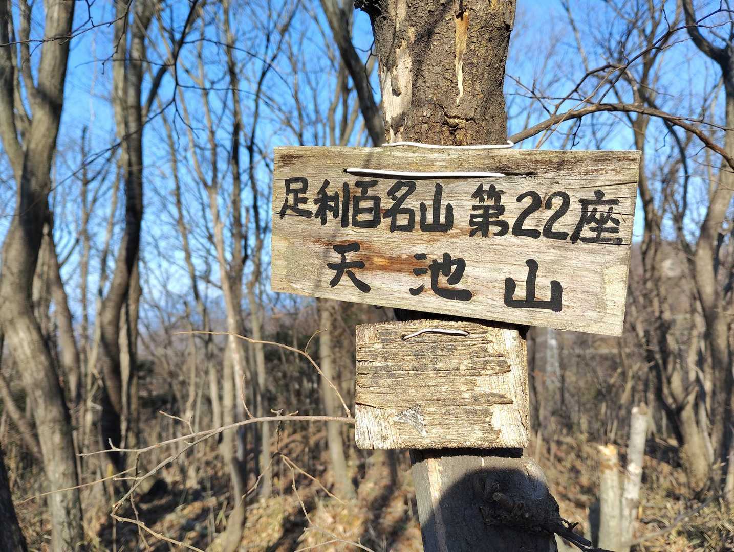 湯殿山 新東登山口-天池山-彦谷湯殿山-鉄塔山 縦走コースの写真
