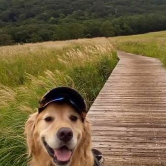 ゴールデンマックスリバー