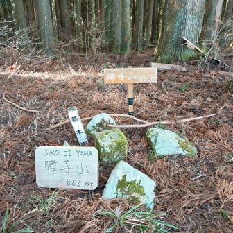 障子山山頂。松山方面が少し望める。