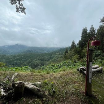 観鋸台