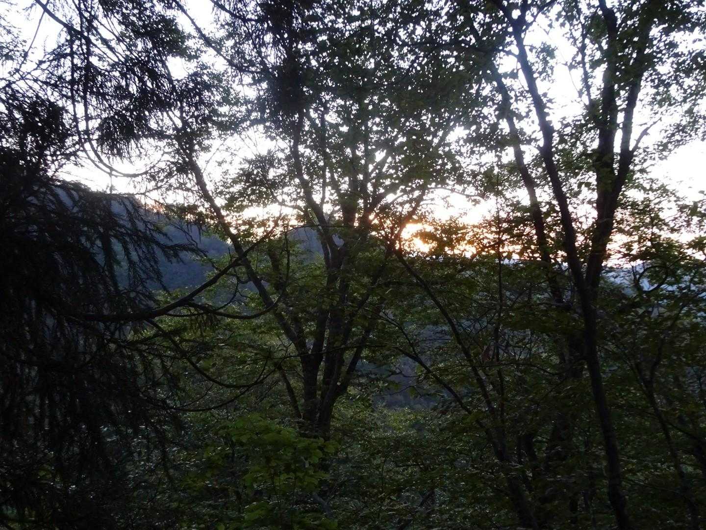 もうすぐ日の出ですね。