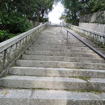 階段キター