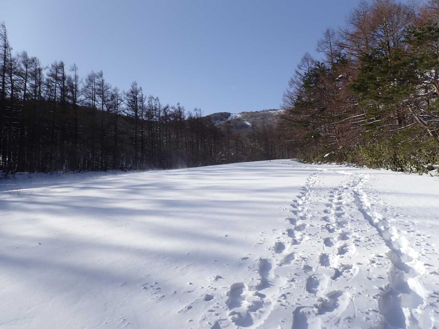 奥岳-薬師岳-安達太良山 往復コースの写真