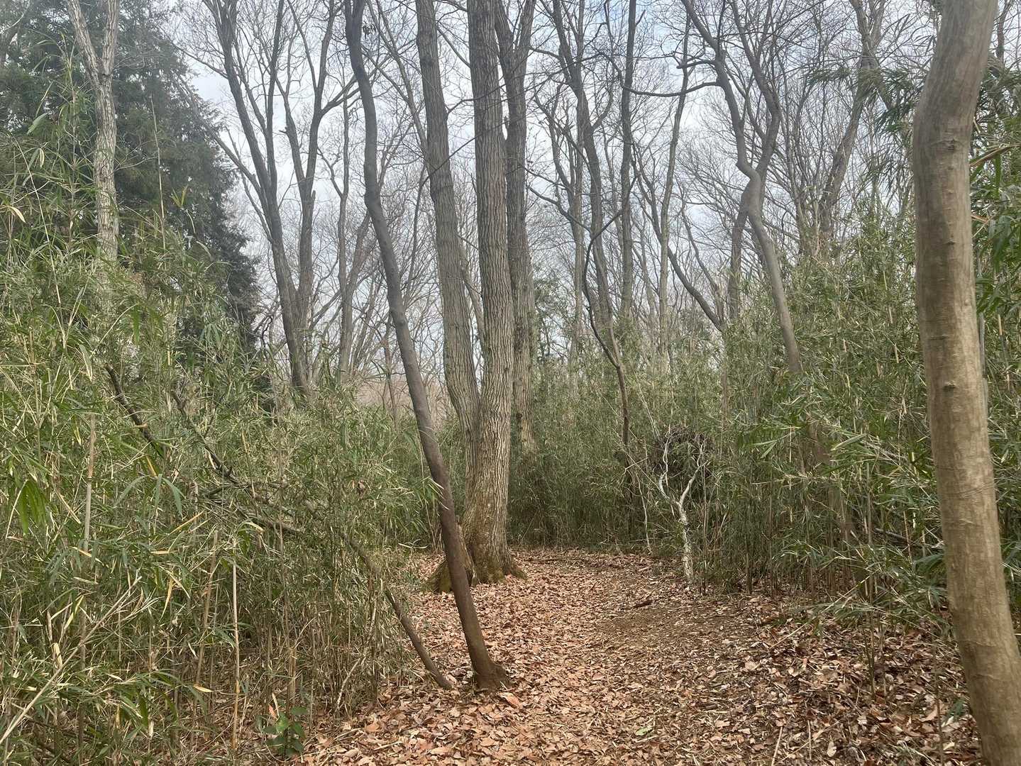 この辺り、木の香りが凄いです♪