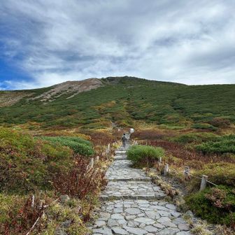 すごく整備された登拝道。