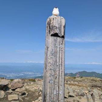 青空いつぱい♡