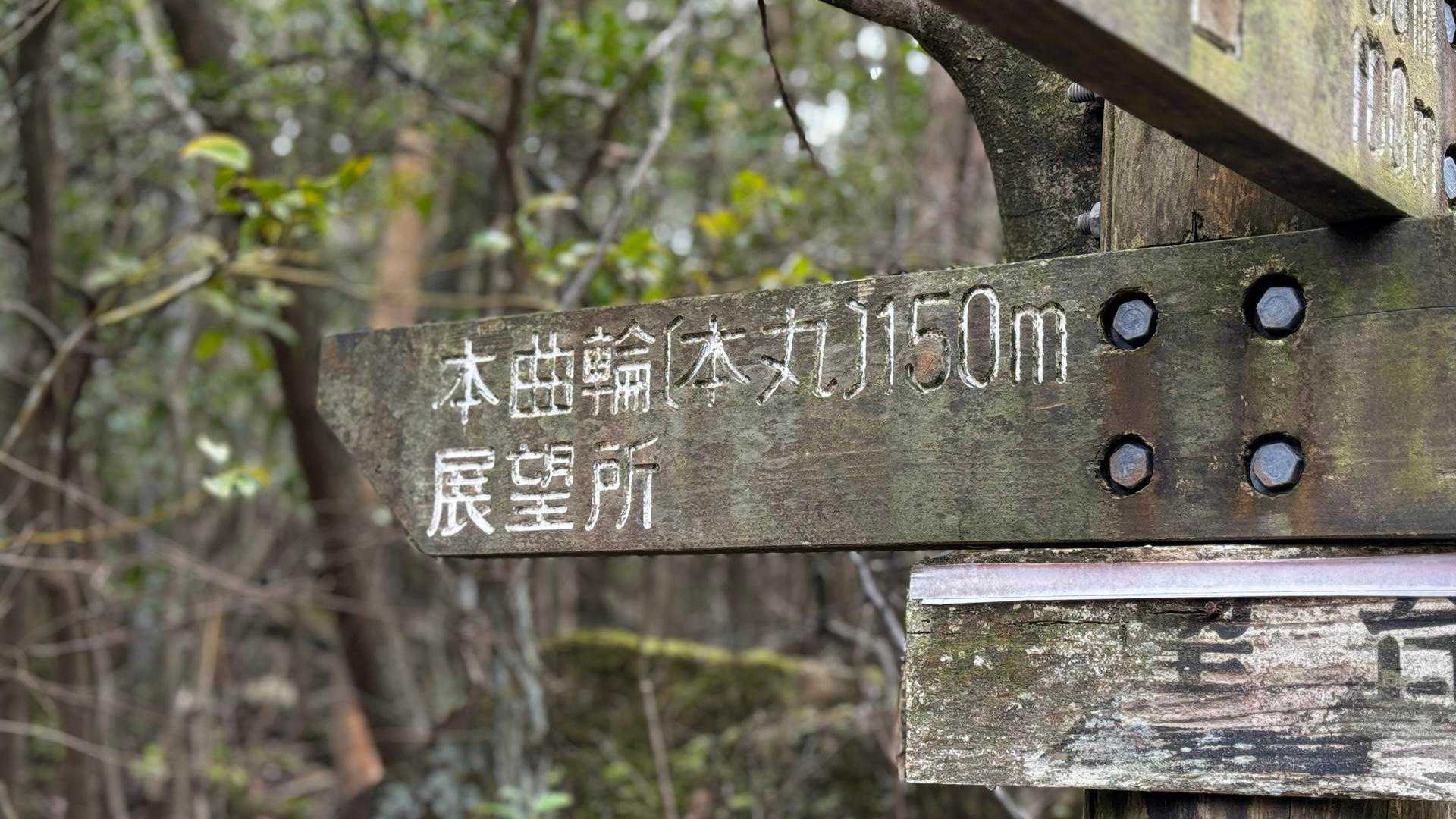 150mなので直ぐですね