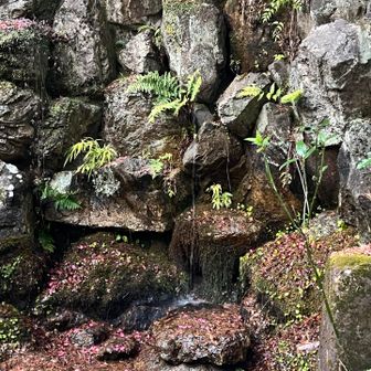 立派な滝があります
写真家の方がおられ、写真を見せて頂いたり、撮影条件など伺えました