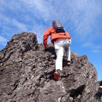 ノグンソウa.k.a.サラドロボー