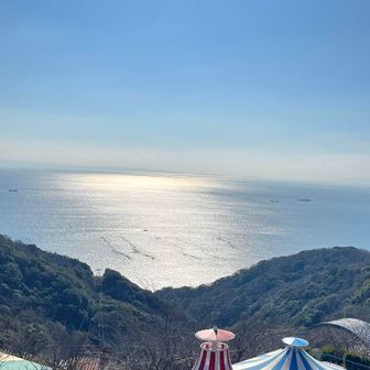 海が輝いて　とっても綺麗✨　寒い日でも
☀️太陽の光が　体の芯まで暖めてくれる感じがします✨