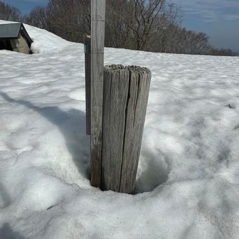 山頂標柱。目盛りあります。210cm。