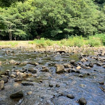 市ケ原へ戻る