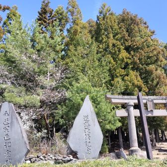 立派です
毎年、神事が行われてるようです